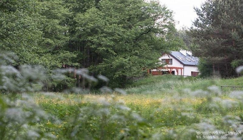 Bobrowa Przystan Villa Czechyn ภายนอก รูปภาพ